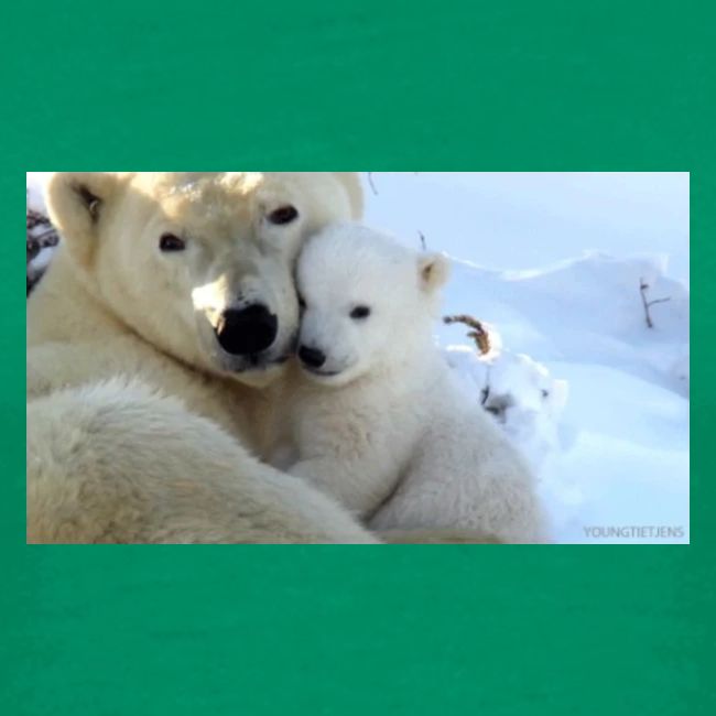 polarbearhug
