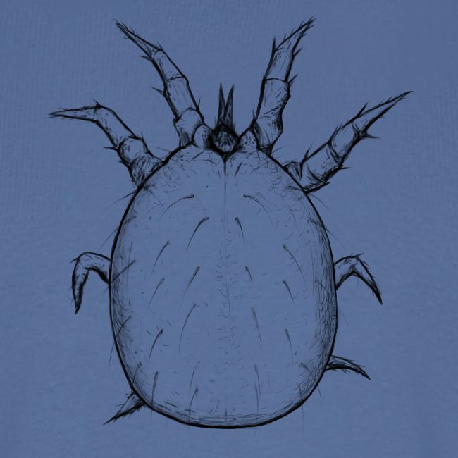 Soil dwelling mite