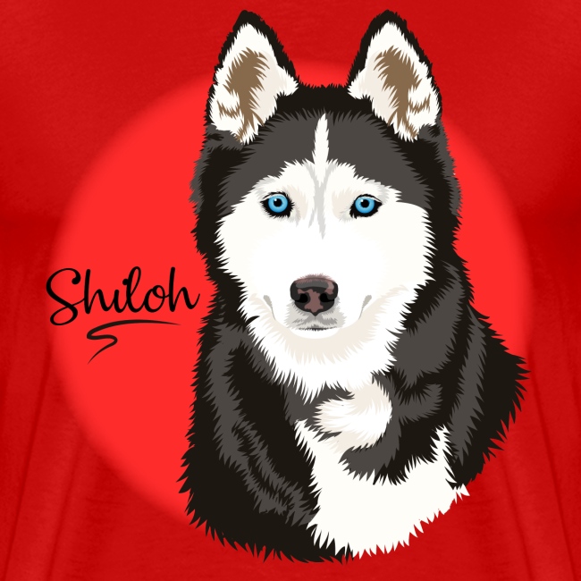 Shiloh the Husky from Gone to the Snow Dogs