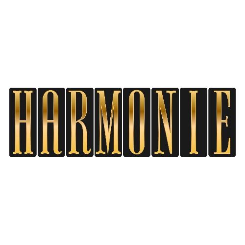 Harmonie Dorée - Men's Premium T-Shirt