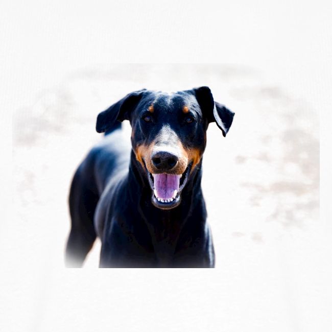 Louis Doberman
