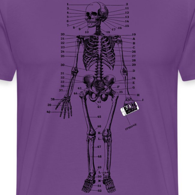 Human skeleton