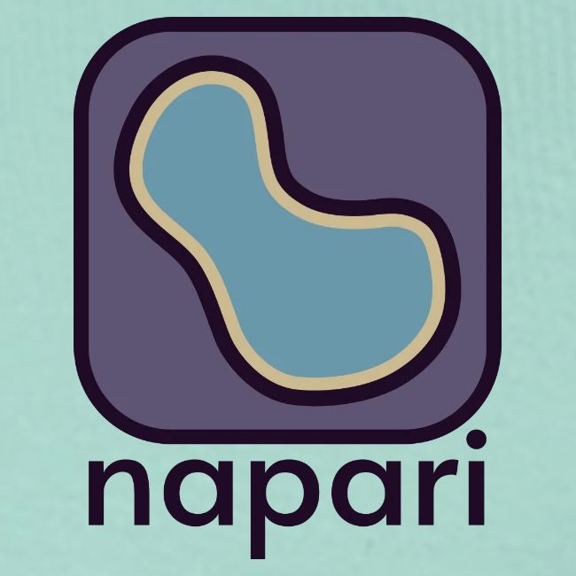 napari (pocket logo)