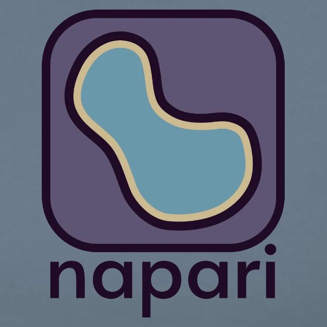 napari (pocket logo)