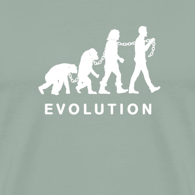 Evolution of slavery