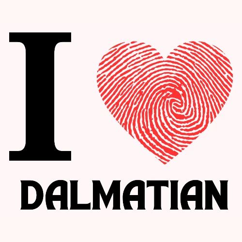 i love dalmation - Men's Premium T-Shirt