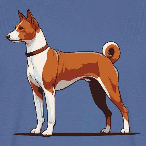 Basenji