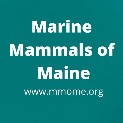 MMoME.org (Front) Black Welcome(Back) - Men's Premium T-Shirt