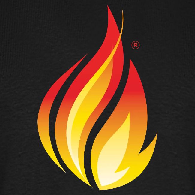 HL7 FHIR Flame Logo