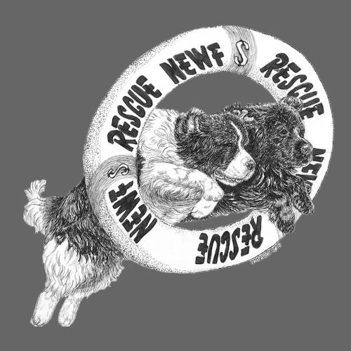 Limited Edition Rescue Design - Men's Premium T-Shirt