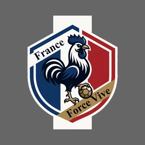 France Rooster T-Shirt, Bleu-Blanc-Rouge gift