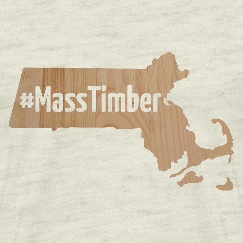 MassTimber (transparent)