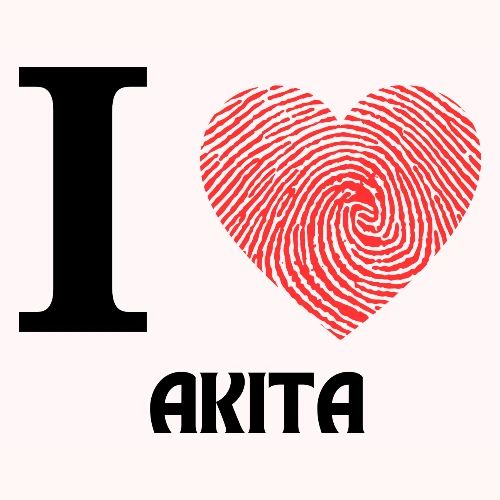 i love akita - Men's Premium T-Shirt