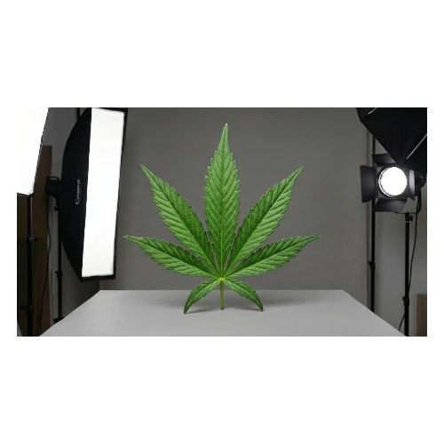 ***CANNABIS LEAF TEE*** - Men's Premium T-Shirt