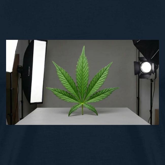 ***CANNABIS LEAF TEE***