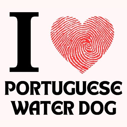 i love portuguese water dog - Men's Premium T-Shirt