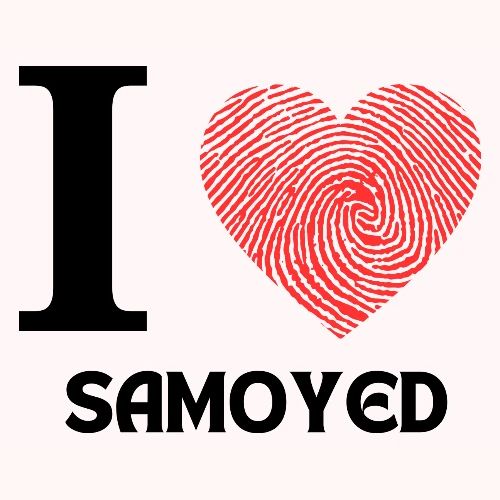 i love samoyed - Men's Premium T-Shirt