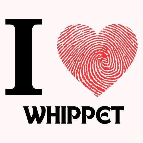 i love whippet - Men's Premium T-Shirt