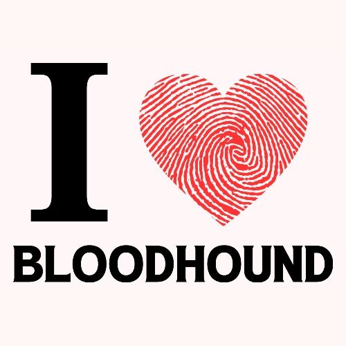 i love bloodhound - Men's Premium T-Shirt
