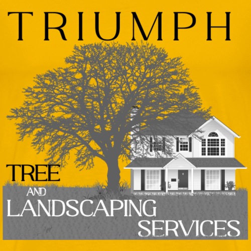 Triumph Logo - T-shirt premium pour hommes