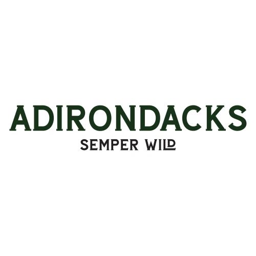 Semper Wild Adirondacks Vintage Dark - Men's Premium T-Shirt