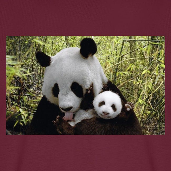 panda