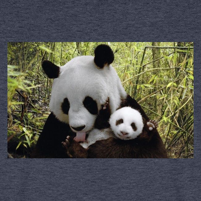 panda