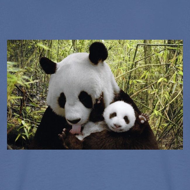 panda