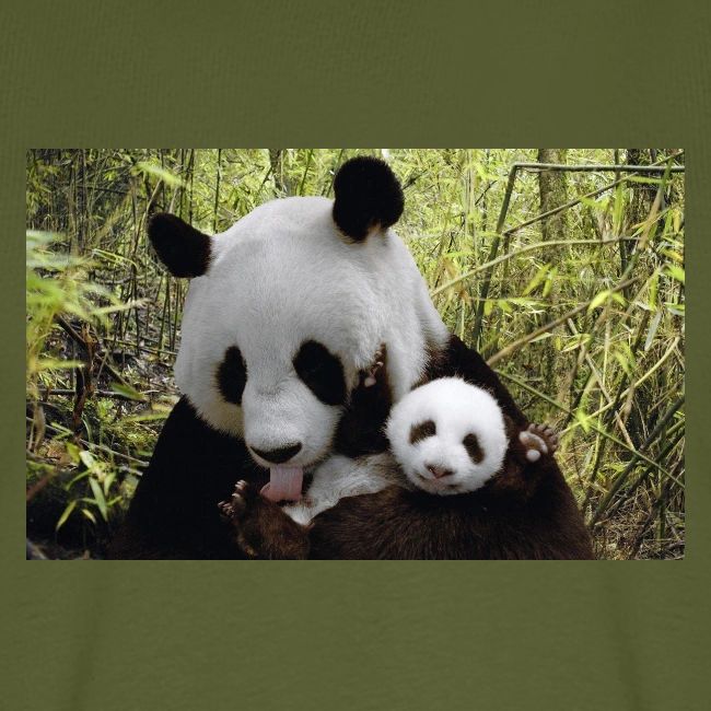 panda