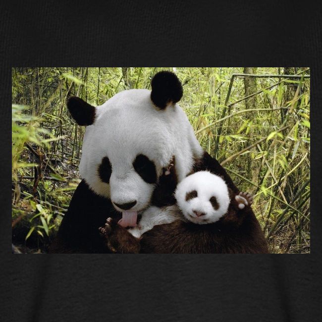 panda