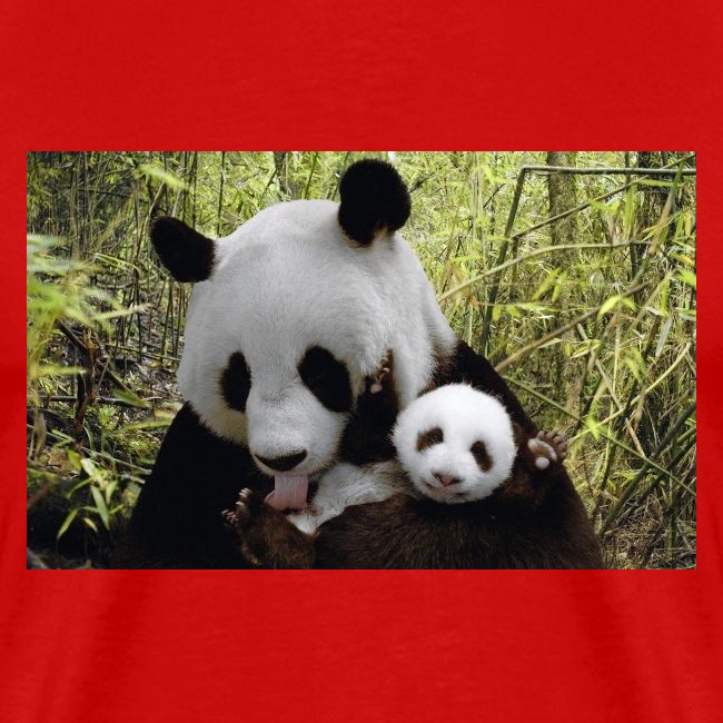 panda