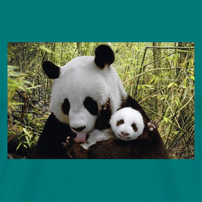 panda