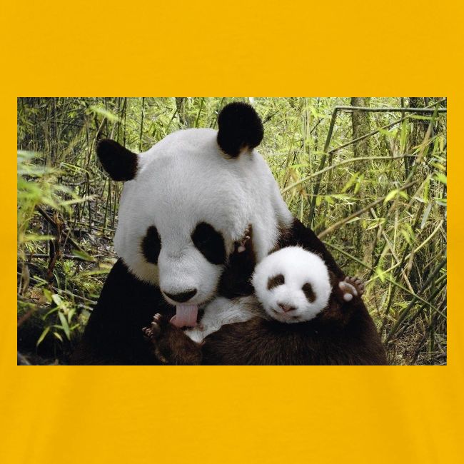 panda