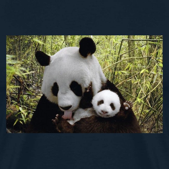 panda