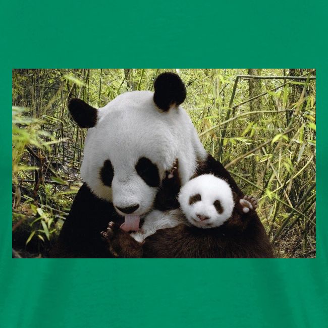 panda