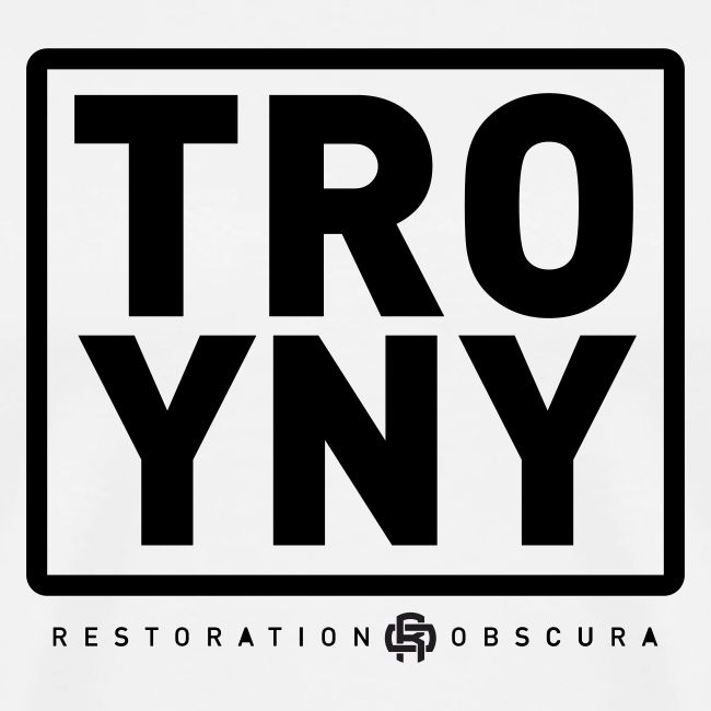 TROY NY Cube