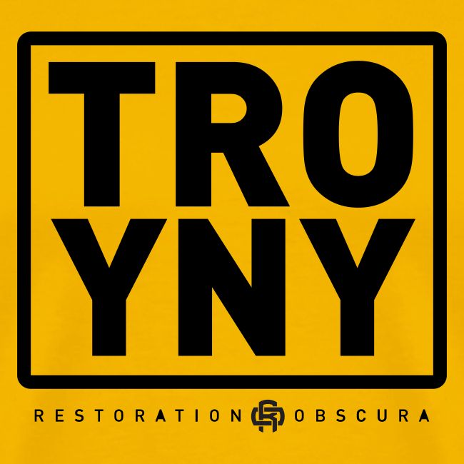 TROY NY Cube