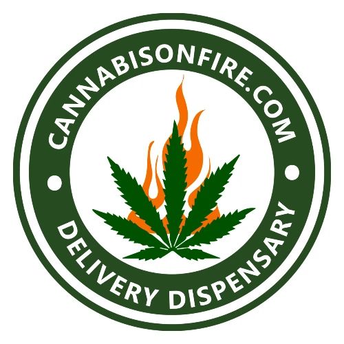 Cannabis On Fire T-shirts Legalize Cannabis - Men's Premium T-Shirt