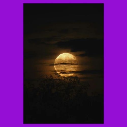 project 20251110 0003329 01 - Men's Premium T-Shirt