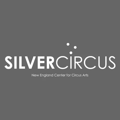 SilverCircus - Men's Premium T-Shirt