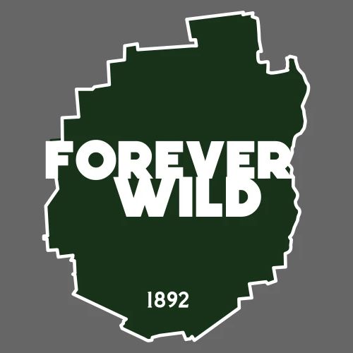 Semper Wild Forever Wild Adirondack Silhouette - Men's Premium T-Shirt