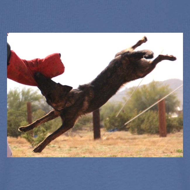 Dutch Shepherd