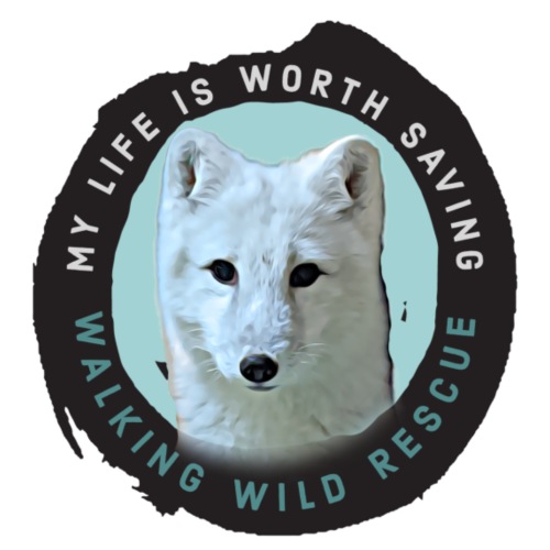 My Life is Worth Saving - Claudette Fox