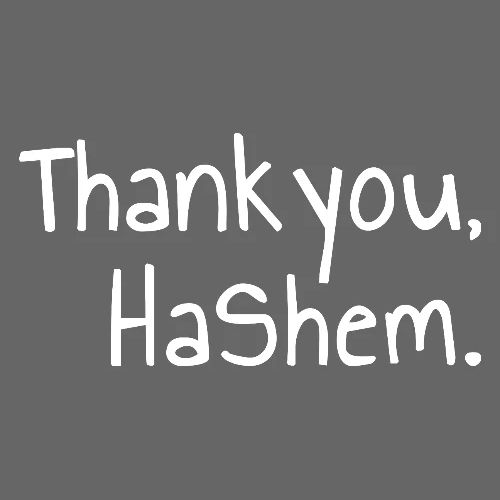 Thank You, HaShem – Grateful Simplicity - Men's Premium T-Shirt