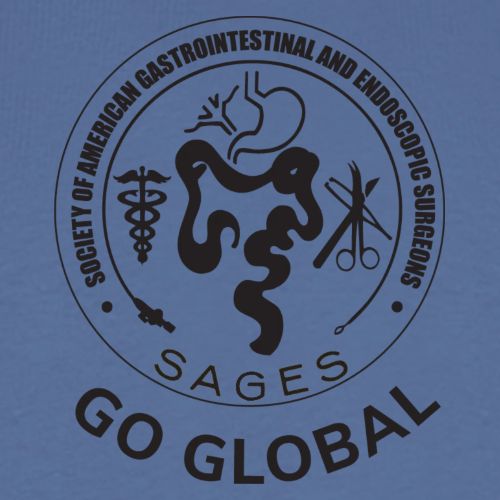 SAGES Go Global Logo - Men's Premium T-Shirt