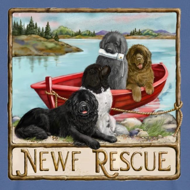 NCA Newfoundland Dog Rescue Gear