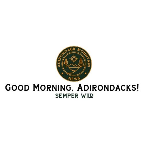 Adirondack Mountain News Good Morning Dark - Men's Premium T-Shirt