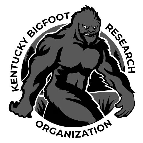 KBRO Official Logo - Men's Premium T-Shirt