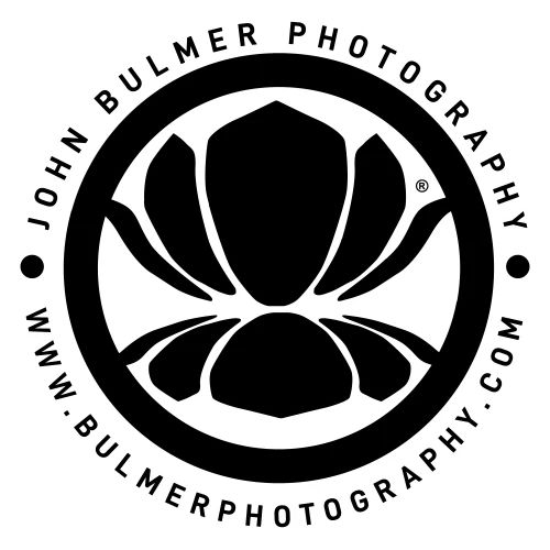 JBP: Leaf Lotus Seal - Men's Premium T-Shirt