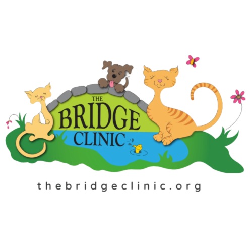 The Bridge Clinic Logo - Men's Premium T-Shirt